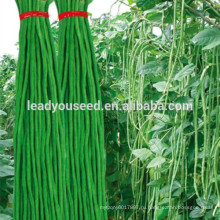MBE03 Youqi высокий урожай спаржи китайские семена фасоли компании